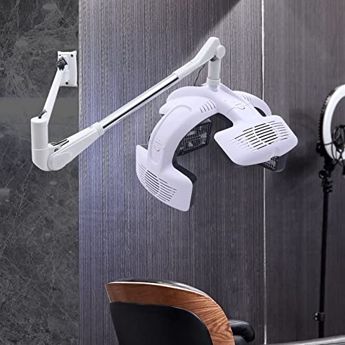 Wall Mounted Hair Dryer with Timer for Salon Use P554