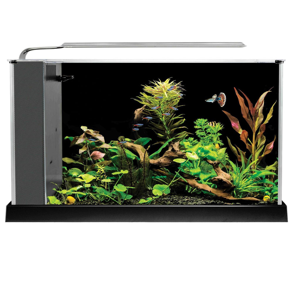 Fluval Spec V Aquarium Kit V783828