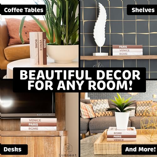 Faux Books for Coffee Table Decor, Set of 3 S316315