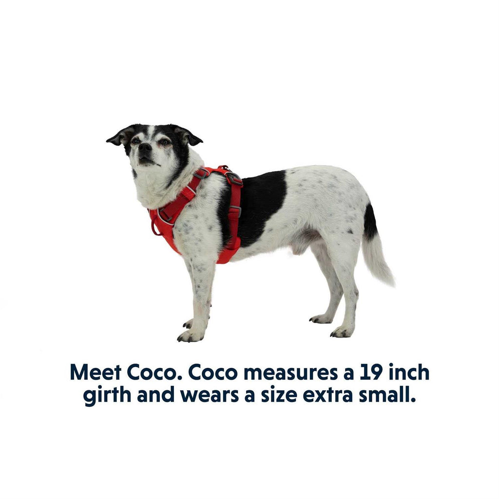 Harness for Dogs W8406
