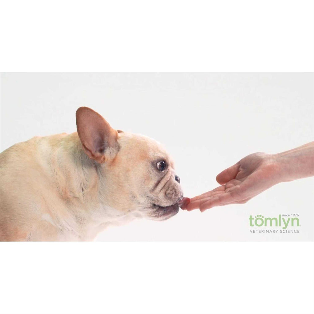 High Calorie Nutritional Gel for Dogs K555959