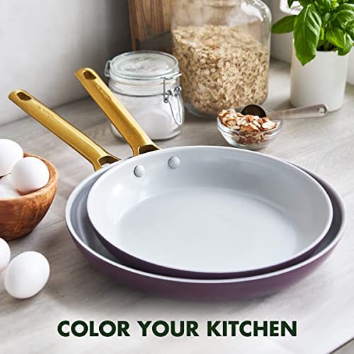 Hard Anodized Ceramic Nonstick Frying Pan Skillet Set, 10 and 12 Inch, Dishwasher Safe W75146