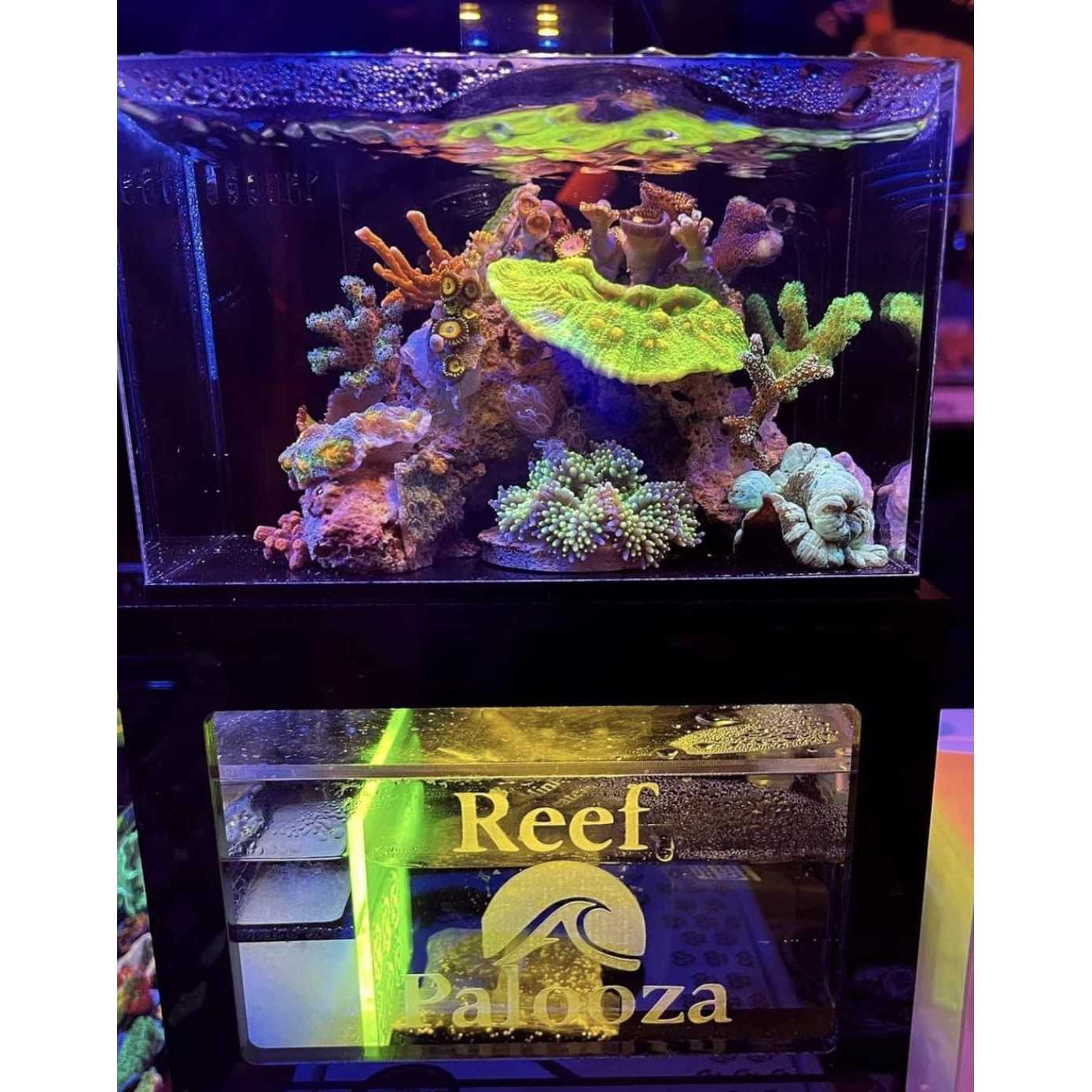 Desktop Micro Reef-Ready Aquarium 40oz Z663719