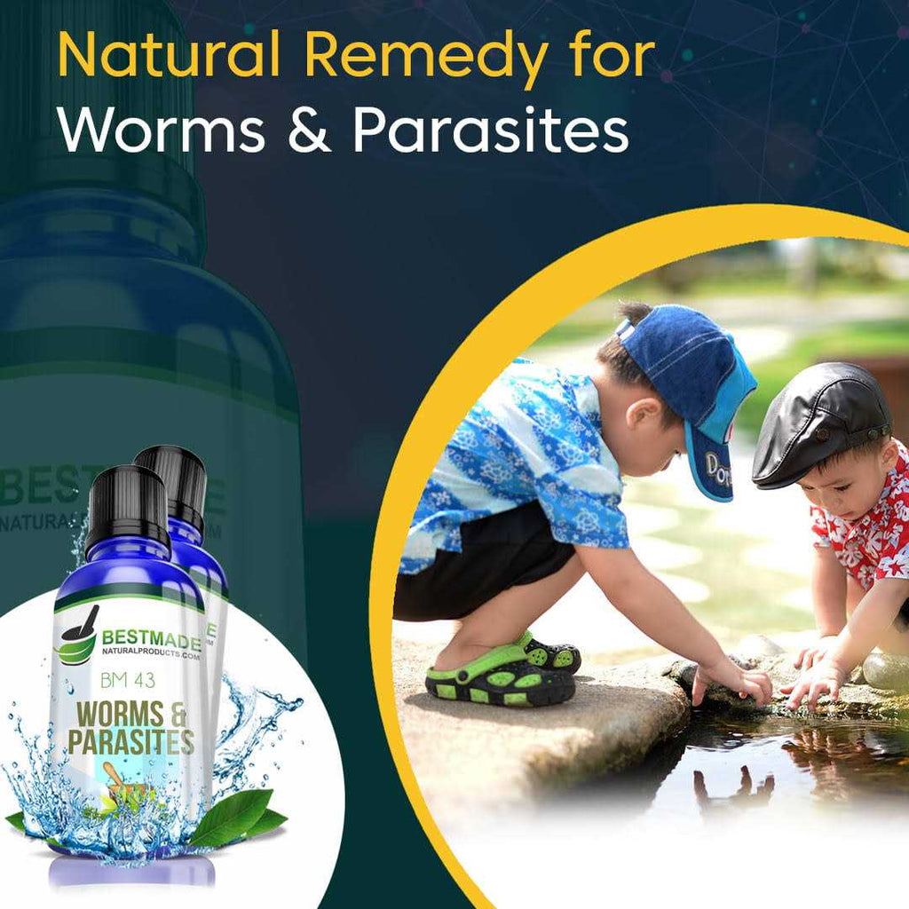 Natural Worm and Parasite Remedy for Humans V774965