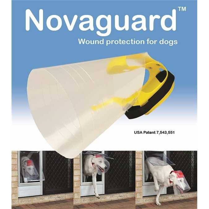 Pet Supplies Online Store G979992